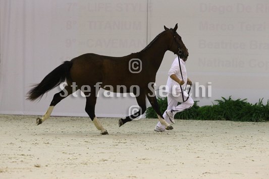 NADA BRAUN_MILANO_2010_SS3_4010.jpg